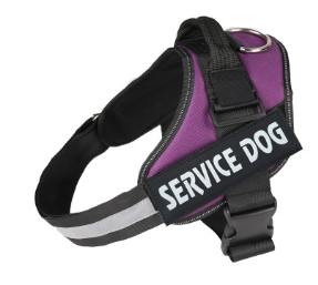 Dog chest strap