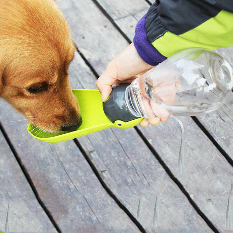 Folding Fashion Personality Dog Drinking Kettle