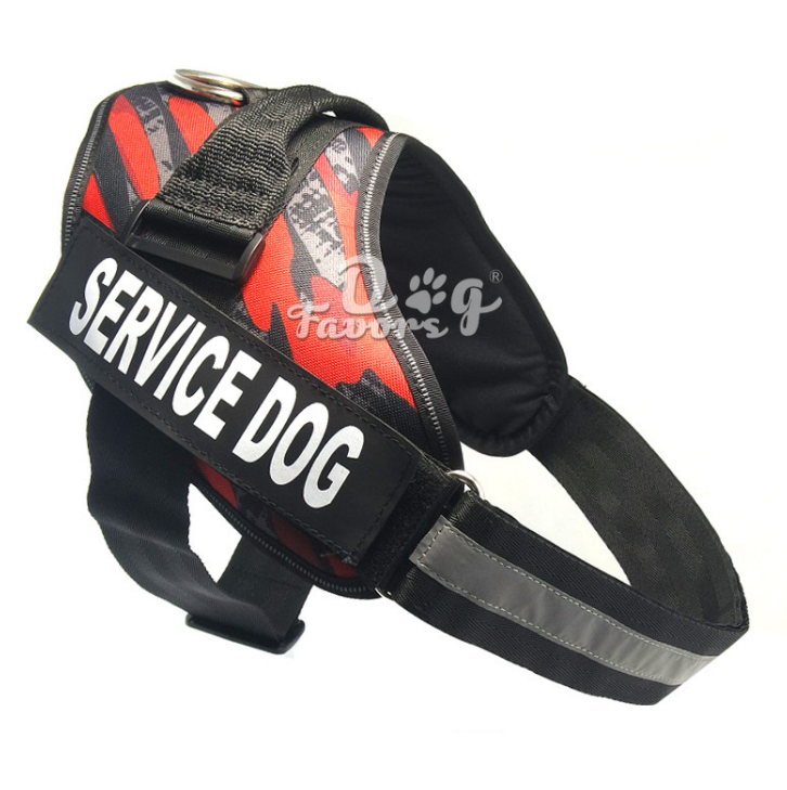 Dog chest strap