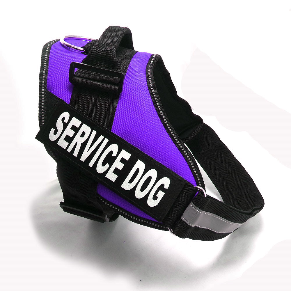 Dog chest strap