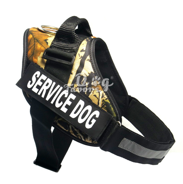 Dog chest strap