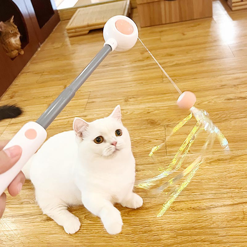 Household Fashion Personality Funny Cat Stick Self Hi Toy