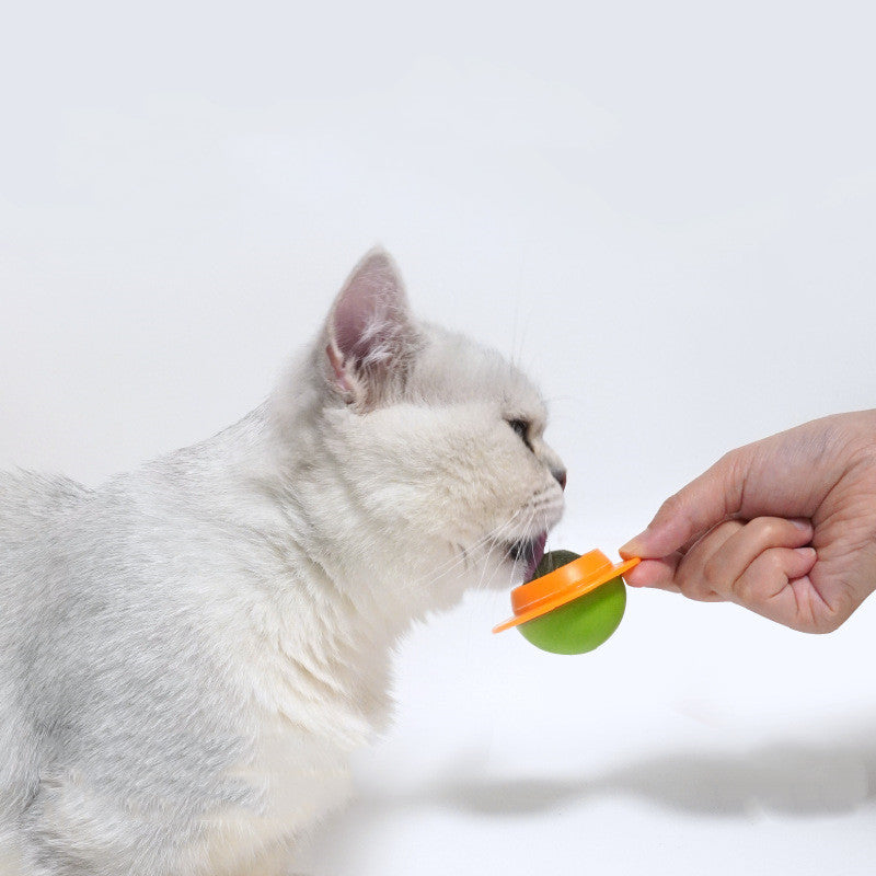 Suction Cup Fixed Interactive Cat Toy Molar